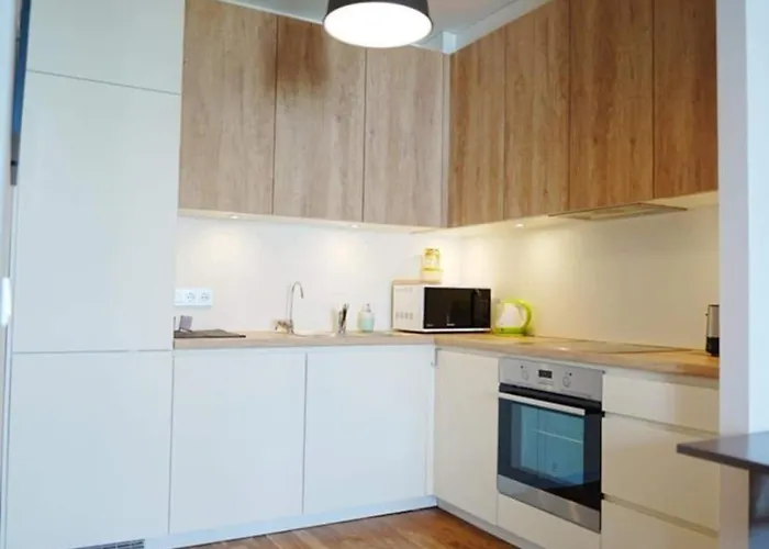 Modern With A Balcony Apartment Tallinn